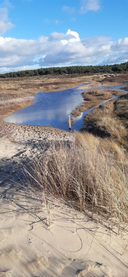 Zilvermeeuw Bergen aan Zee Exterior foto