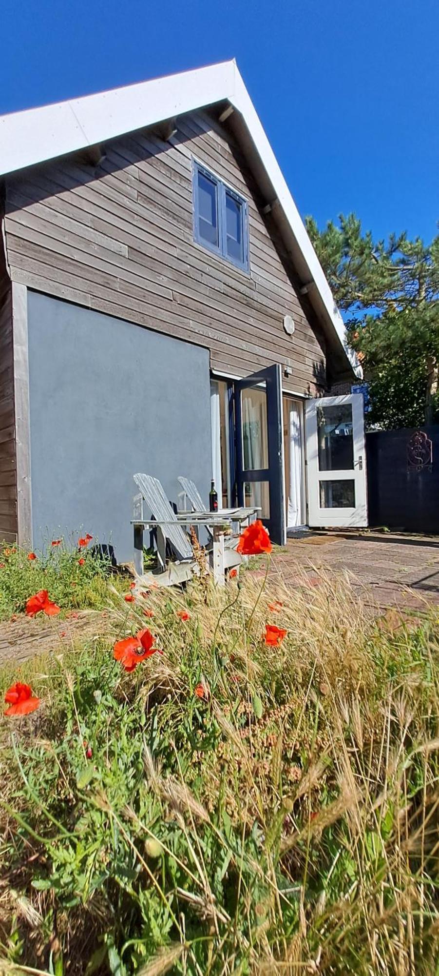 Zilvermeeuw Bergen aan Zee Exterior foto
